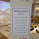 플레이 샌드