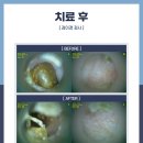 고척원동물의료센터 이미지