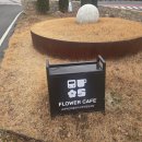 머문 | 순천카페 플라워카페S｜동천뷰 근처 대형카페에서 오래 머문 후기