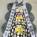 과역-4호 Daum카페