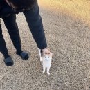 후니 실내낚시터 이미지