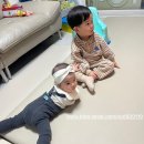 28-29개월차 아기 꼬미의 영유아 야제증 야경증 한약 내돈내산 치료 후기(함소아한의원,팬더P시럽가격)