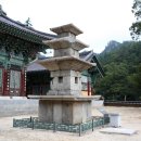 금곡사