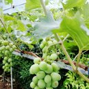 매천고등학교 | 대구 마음챙김 명상! 나를 다시 꺼내준 5분 빛명상 이야기