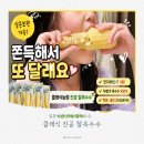 수학의단맛학원 | 실온보관 가능한 괴산 찰옥수수, 클래식농원 진공옥수수 쫀득한 건강간식 후기