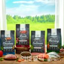 메트로펫 이미지