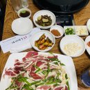 붕붕나라 이미지