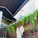 용산-이촌-518 | [압구정/도산공원] 훌륭한 와인과 음식으로 가득찬 차이니즈 프렌치 비스트로, 등등
