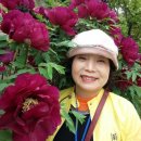 세도중학교 이미지