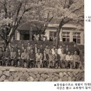 장성읍사무소 Daum카페