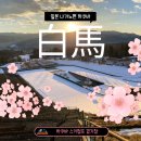 스키점프경기장 - 점프타워 | 활동의 메카. 파우더 스노우로 유명한 동계 스포츠의 성지 <하쿠바 스키점프 경기장, 하쿠바 핫포오네>