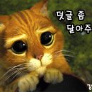 미선이네집 이미지