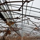 도곡농장2 이미지