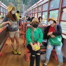 백두대간 협곡열차 탑승 --해바라기축제 --닭실마을방문(2022/08/10.)--2 이미지