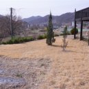 강남부동산중개사무소 이미지