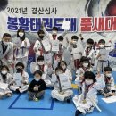 봉황태권도 이미지