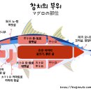 와사이진 이미지
