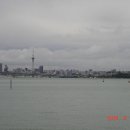 오리와 장어 이미지