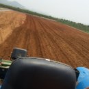 주빈농장 이미지