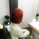 쉐르헤어 - 대덕구 | 쉐르헤어