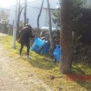 효돈동 주민센터 이미지