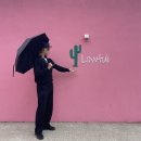 합천호(회양)관광지주차장화장실 | 합천 대형 카페 합천호뷰와 인기 포토존이 많은 로우풀