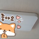 정일조명