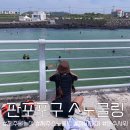 제주 여름 핫플 판포포구 스노쿨링 물놀이💚 | 판포포구 A to Z❗️| 화장실, 주차, 탈의 | 장비 대여...