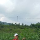 기업전략연구원 - 서구 상무중앙로 98 | 기업전략연구원