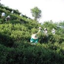 혜림농장 이미지