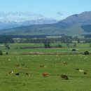 플래니터리헬스 이미지