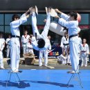 용인대 이충현 태권도장 이미지