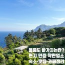 이레카써비스 | &#34;울릉도는 원래 이런가요?&#34; 바가지 논란 속, 울릉도 현지 인증 착한업소 총정리(숙소·카페·식당 리스트)