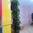 비니PC | 서브폰 알아볼 땐 무조건 여기! 일산 중고폰 매입 솔직 후기