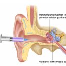 광주삼성이비인후과의원 이미지