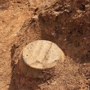 고인돌문명 Tour 이미지