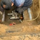 코아&2060 이미지