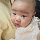 현대소아청소년과의원 네이버블로그