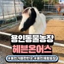 월금농장 이미지