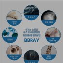 다독펫케어센터 네이버블로그