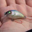 연곡낚시터 이미지