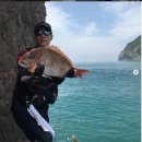 도시어부 이미지