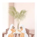 헬스 스쿨 이미지