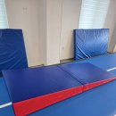 올킬몰 | 안전 착지 매트 "올킬몰" 구매 후기