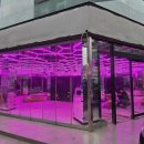 모모뽑기방 이미지