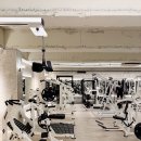 인싸짐 계산점 이미지