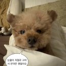 와이마트 하남드림점 | 뭐 그냥저냥한 일상