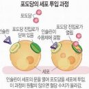 한끼두끼 네이버블로그