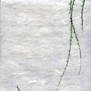 선화 이미지