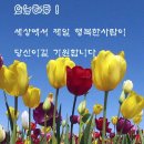 꽃물노래클럽